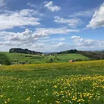 Ferien Im Schwarzwald Apartman