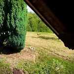 Ferien Im Schwarzwald *