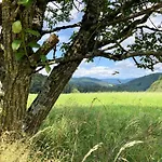 Apartman Ferien Im Schwarzwald *