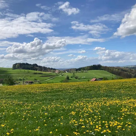 Ferien Im Schwarzwald شقة