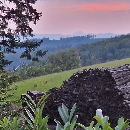 Ferien Im Schwarzwald شقة