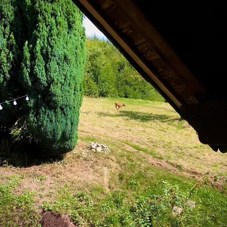 Ferien Im Schwarzwald *