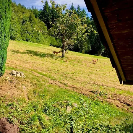 Ferien Im Schwarzwald Apartmán Freiamt