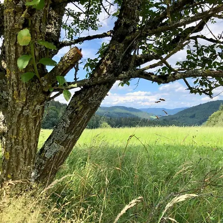 Apartmán Ferien Im Schwarzwald *