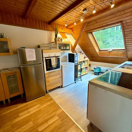 Ferien Im Schwarzwald Apartmán Freiamt